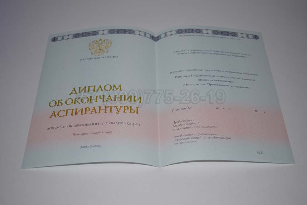Бланк диплома аспирантуры Гознак 2014-2025 год выпуска г.Иркутск