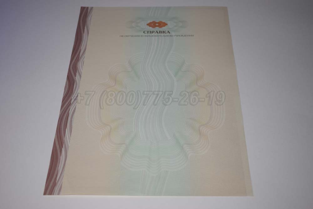 Академическая справка ВУЗа Гознак 2014-2025 год выпуска г.Иркутск