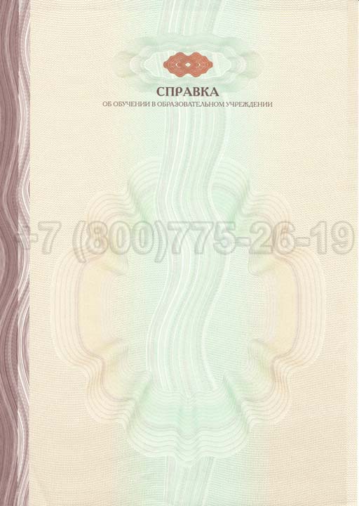 Академическая справка ВУЗа Гознак 2014-2025 год выпуска г.Иркутск