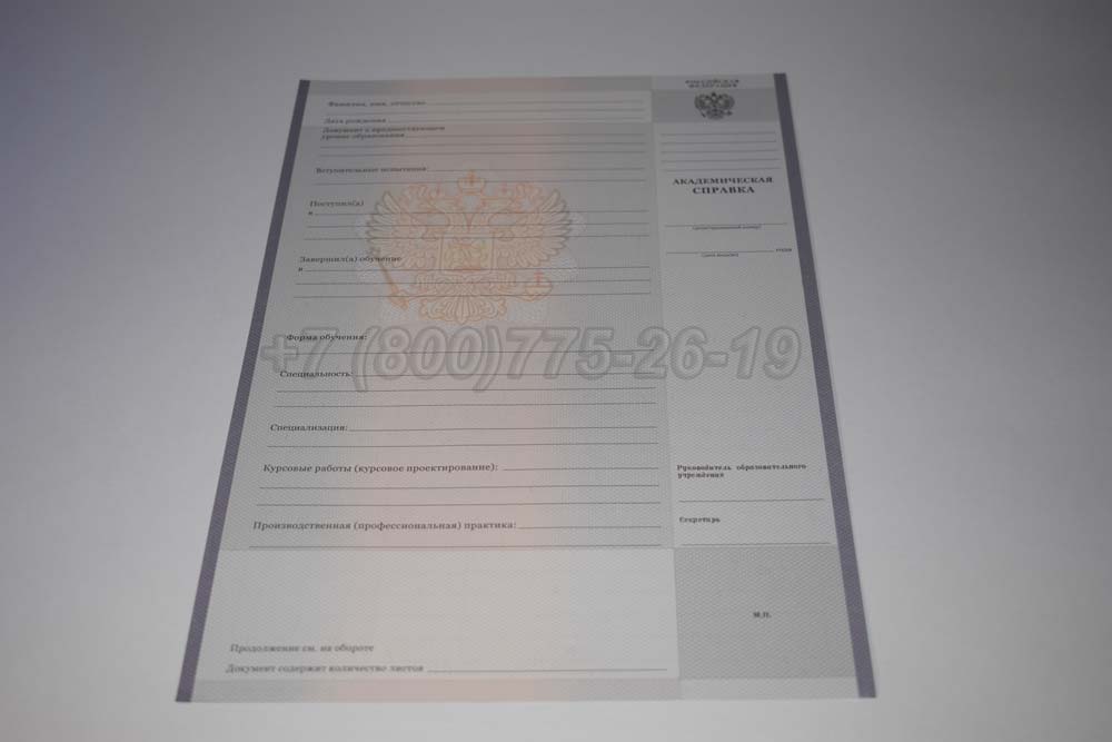 Академическая справка техникума Гознак 2008-2025 год выпуска г.Иркутск