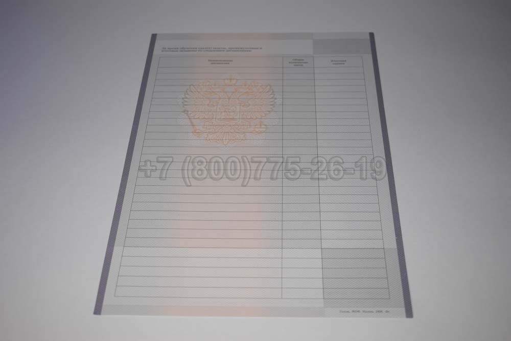 Академическая справка техникума Гознак 2008-2025 год выпуска г.Иркутск