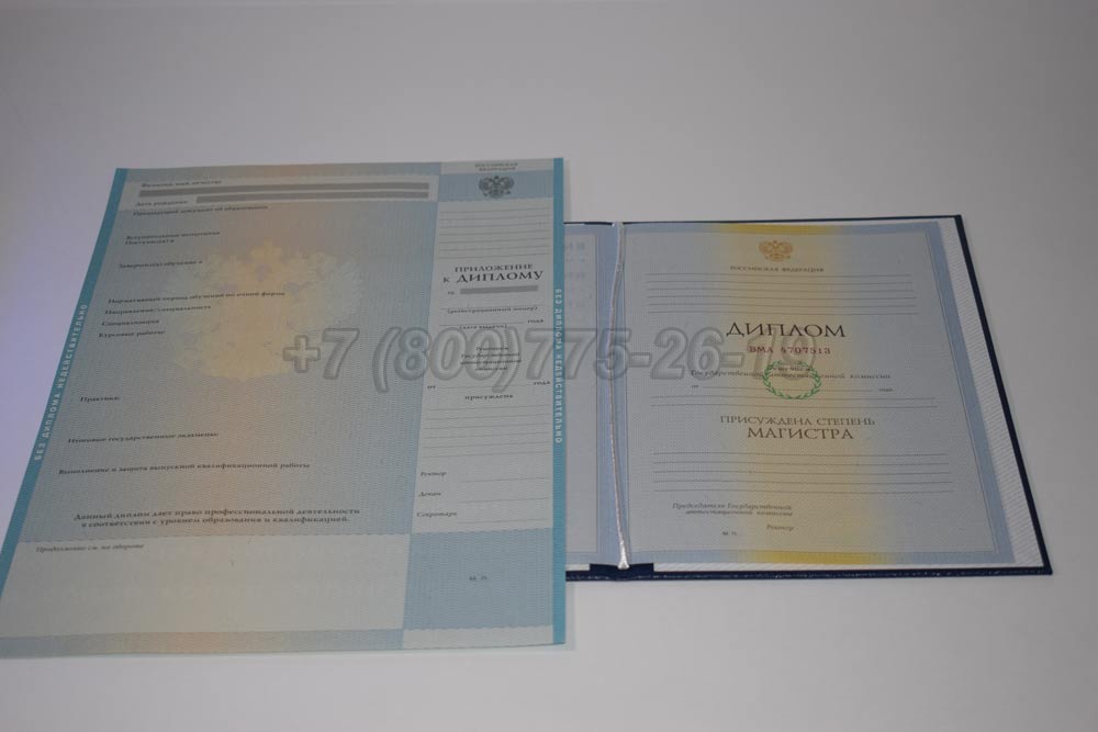 Диплом магистра Гознак 2009-2010 год выпуска г.Иркутск