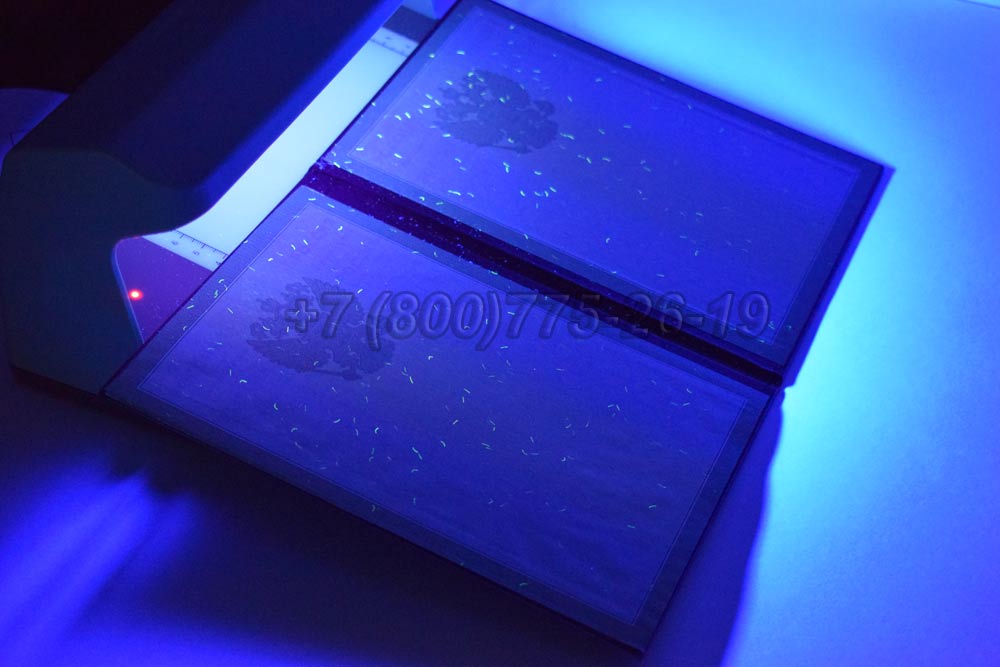 Диплом для иностранных граждан Гознак 1997-2025 год выпуска г.Иркутск